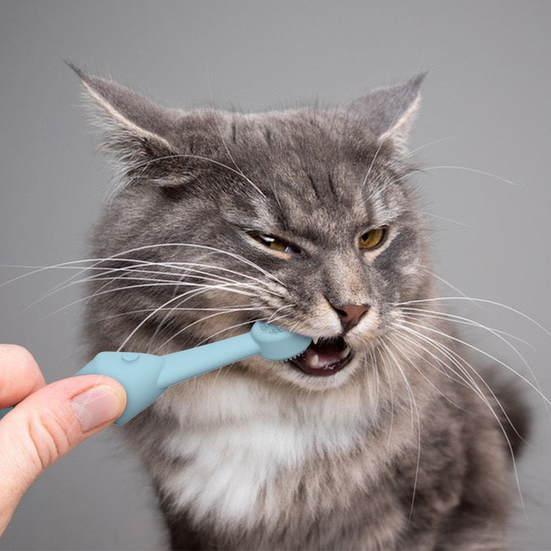 6 x Silicone Pet Toothbrush (3 Fish shape and 3 Bone shape) Blue Gentle Food-Grade Silicone Pet Toothbrush - Promotes Healthy Teeth & Gums for Dogs & Cats