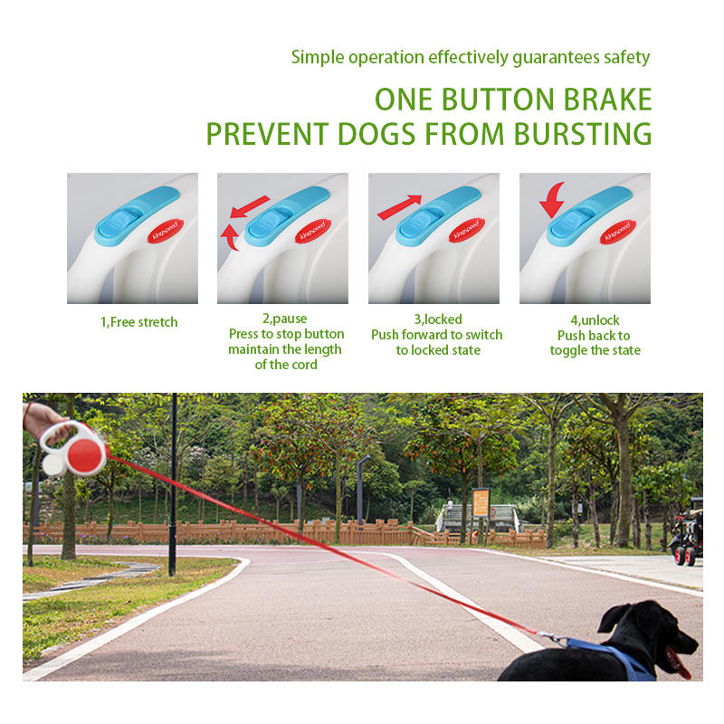 Tomato red 5M Retractable Dog Leash - With Small Box, Suitable For Small And Medium Dogs