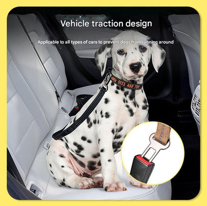 Red Shock Absorbing Dog Leash with Reflective Stitching - 135cm for Small to Large Dogs